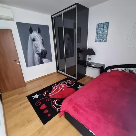 Charming Apartment, 2 Garage Parking Split